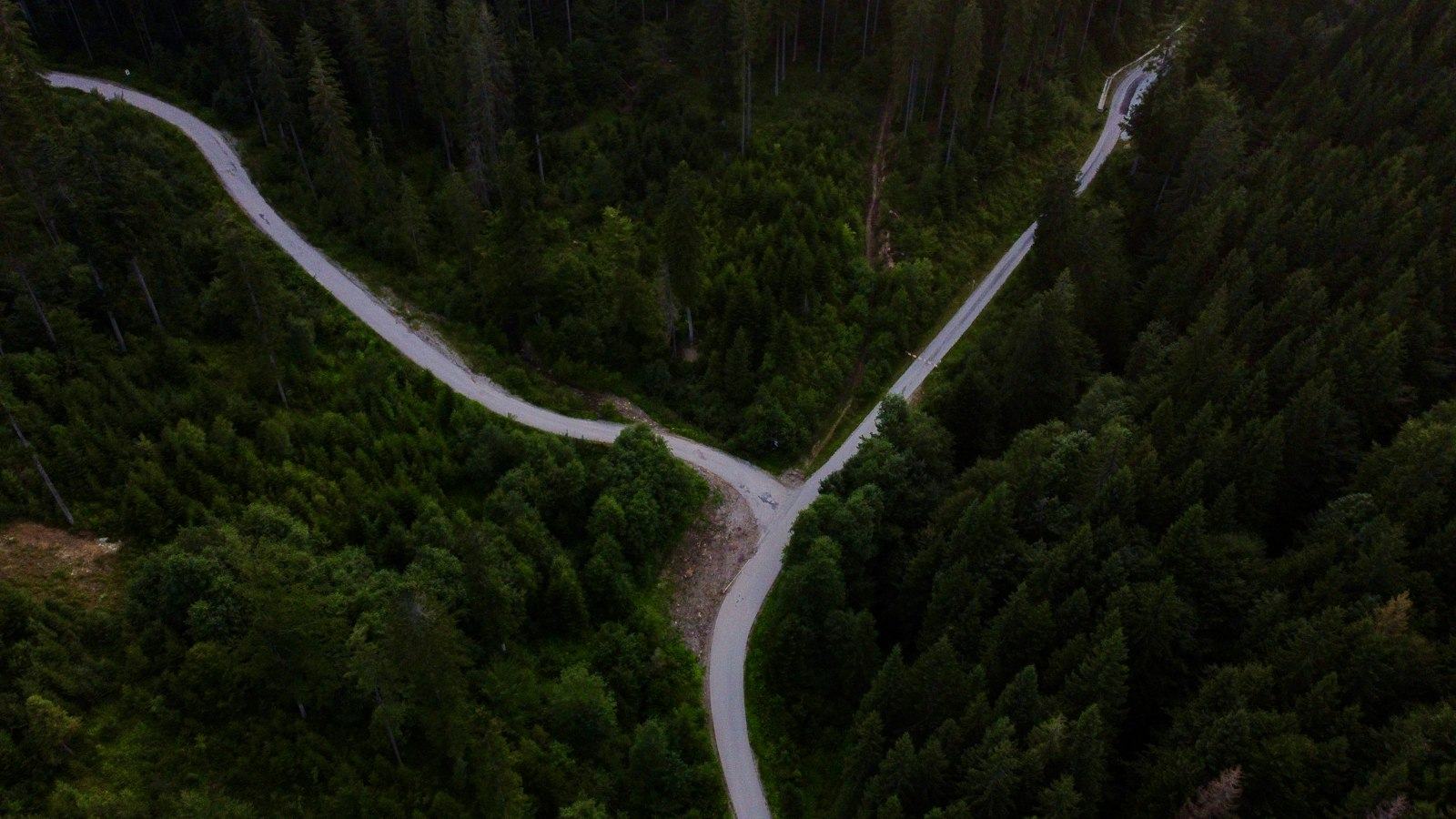 從空中俯瞰松林,一條道路在林間分成兩條